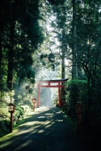 Read more about the article Japan: Road Trip