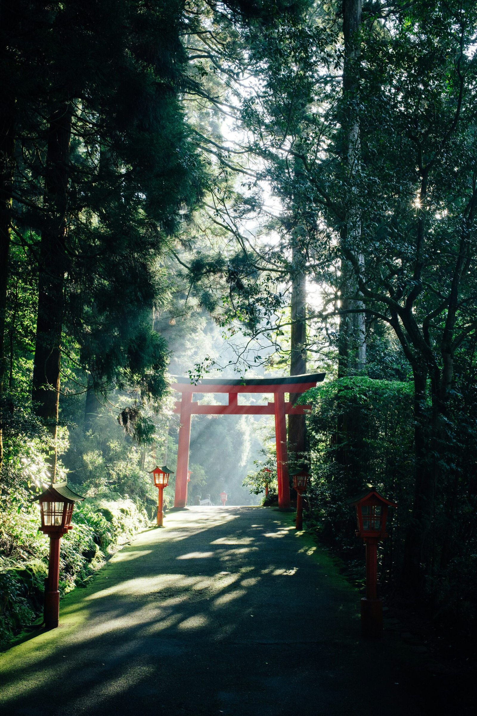 Read more about the article Japan: Road Trip